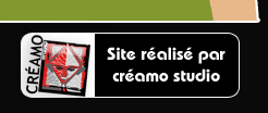 creamo studio - studio de créations graphiques - réalisation de sites internet - lille - Mouvaux